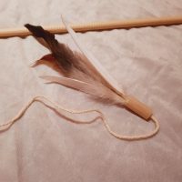 katzenangel catchthebirdy